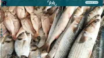 أسعار وأنواع أسماك البلطى في أسواق الإسكندرية اليوم